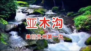 2024年春运河南预计超6．4亿人次出行 创历史新高